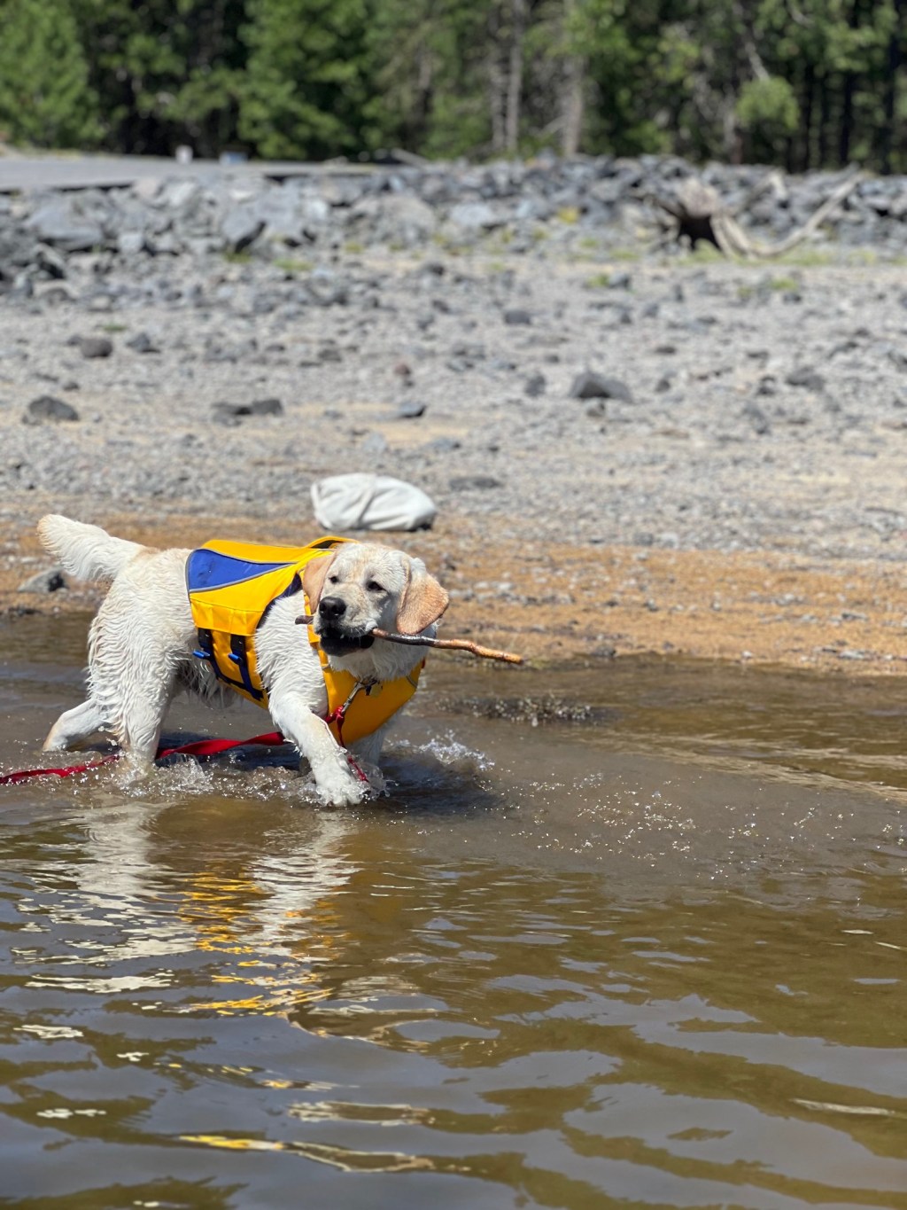 The Art of Adapting: How Flexibility Fuels&nbsp;Growth